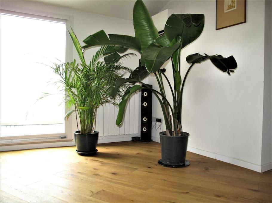 Appartamento Prati Fiscali Penthouse